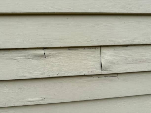 Siding Removal and Disposal in Point Roberts, WA